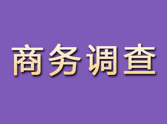 浪卡子商务调查